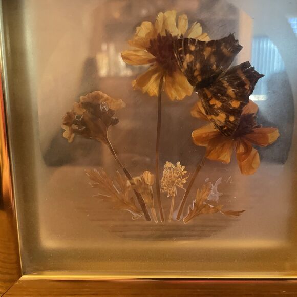 Vintage Framed Real Butterfly Taxidermy Dried  Flowers Diorama - Picture 2 of 7